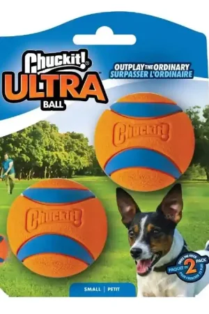 Veilige Betaling Chuckit Ultra Ball S 2-Pack